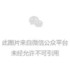 20250616185404999 宝塔 10.0 LTS 稳定版公测更新日志